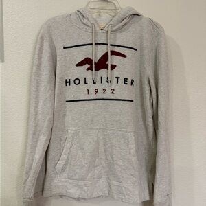 Hollister pull over sweater men’s size M